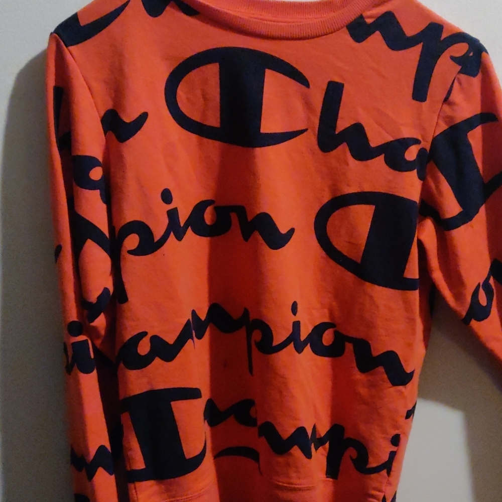Champion sweater